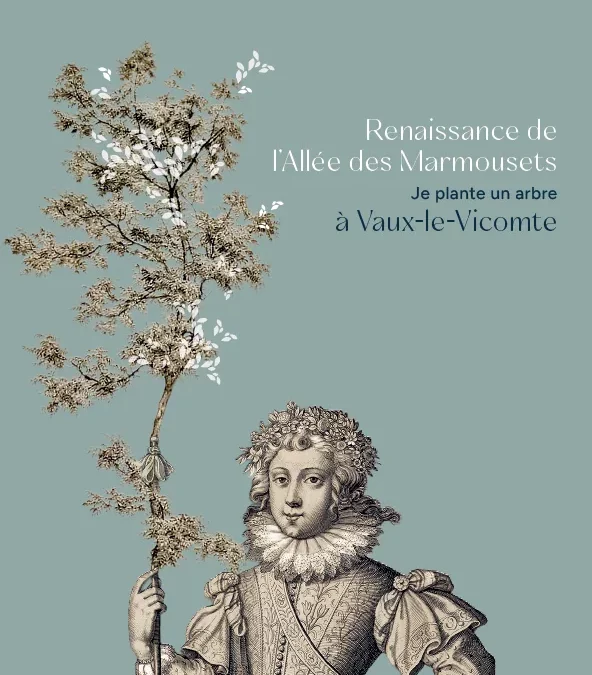 Renaissance de l’Allée des Marmousets